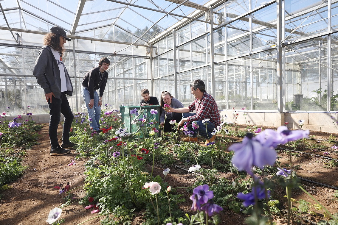 Group pf horticulture students in greenhouse